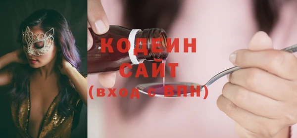 метадон Алексин