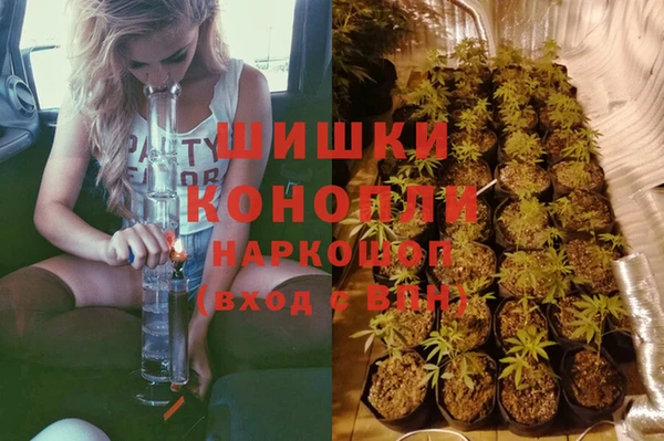 метадон Алексин