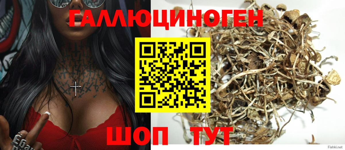 Псилоцибиновые грибы мицелий Самара