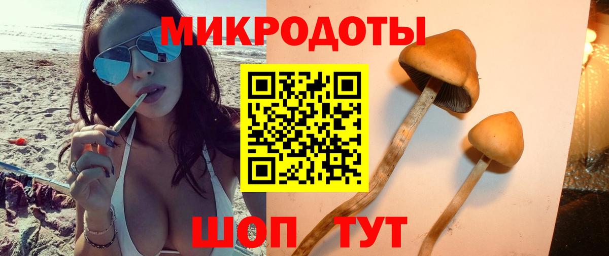 Псилоцибиновые грибы Psilocybe  Вход с VPN  Самара 
